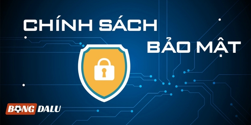 Bạn hoàn toàn có thể yên tâm trải nghiệm tại hệ thống Bongdalu Bạn hoàn toàn có thể yên tâm trải nghiệm tại hệ thống Bongdalu